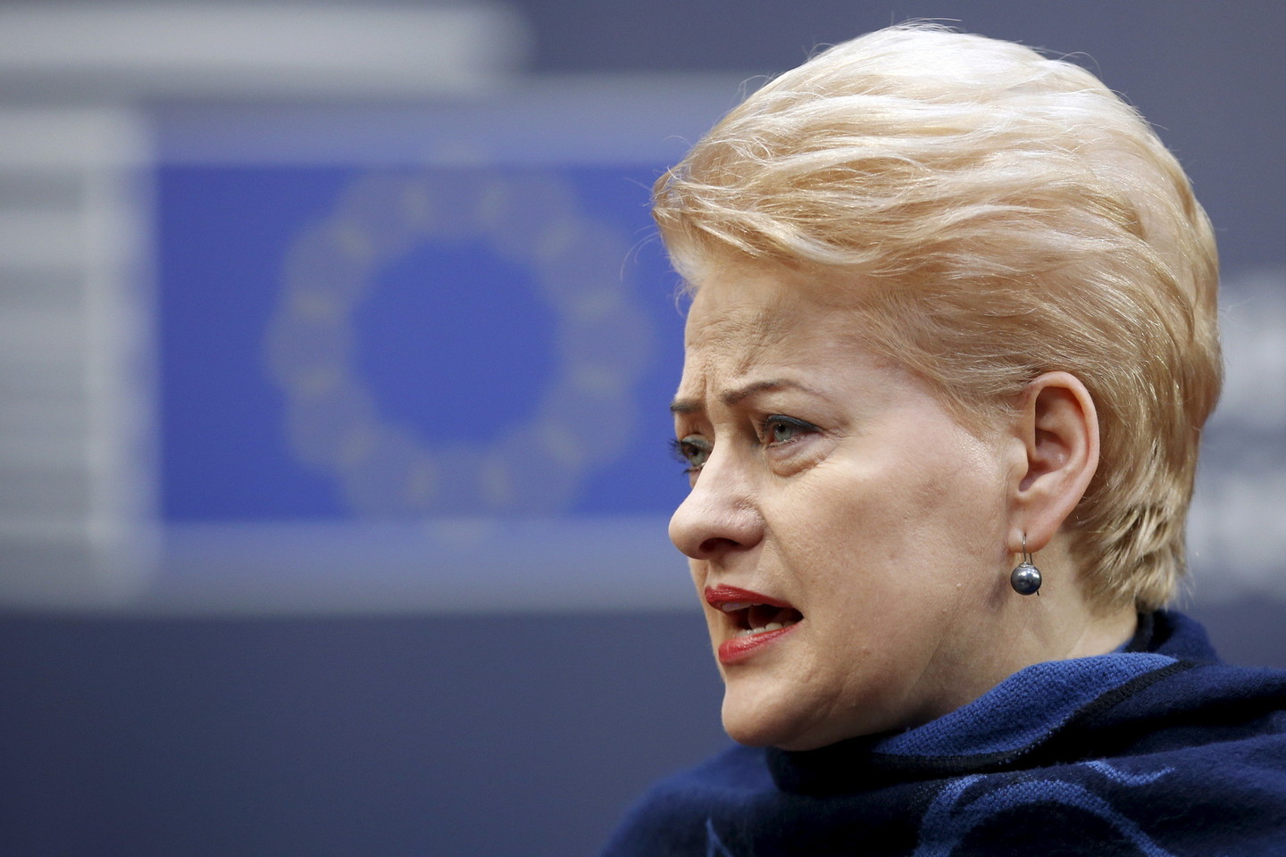 D. Grybauskaitė – Ukrainoje itin vertinama užsienio lyderė.