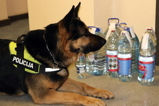 Policijos šuo atvedė į degtindario garažą