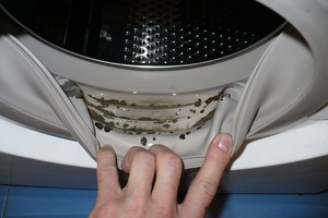 Nepražiopsokite: jūsų skalbimo mašinoje gali slėptis pelėsis