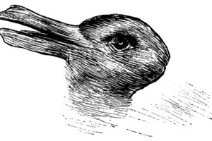 Psichologai įminė senos iliuzijos mįslę: tai daug sako apie jus