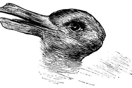 Psichologai įminė senos iliuzijos mįslę: tai daug sako apie jus