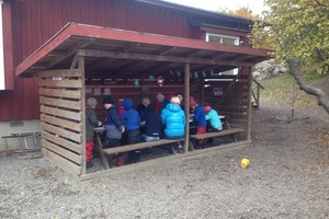 Lauko darželiai ir lauko mokyklos: ar Lietuvoje jų reikia?