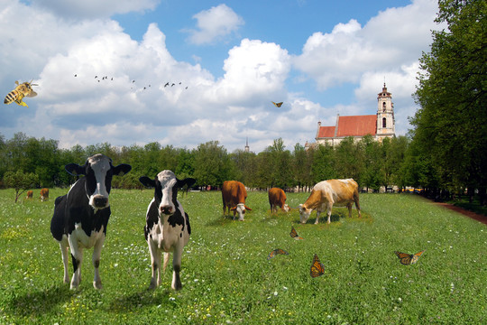 Kaip atgaivinti Lukiškių aikštę? Architektas ieško atsakymų