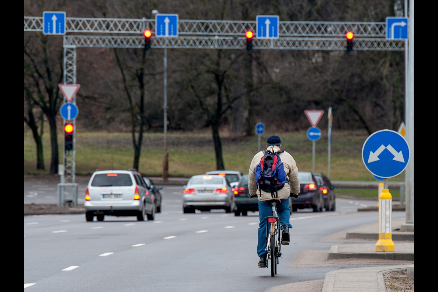 Į Vilnių – kitu žvilgsniu: nuo lūšnynų iki dangoraižių.<br>V.Ščiavinsko nuotr.