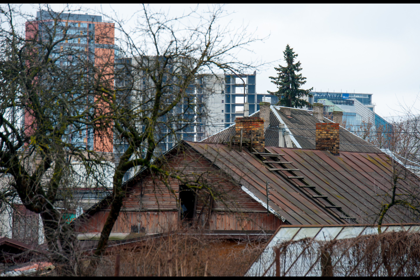 Į Vilnių – kitu žvilgsniu: nuo lūšnynų iki dangoraižių.<br>V.Ščiavinsko nuotr.