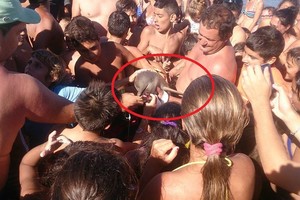 Paplūdimyje rado delfino jauniklį. Štai ką jam padarė tie žmonės