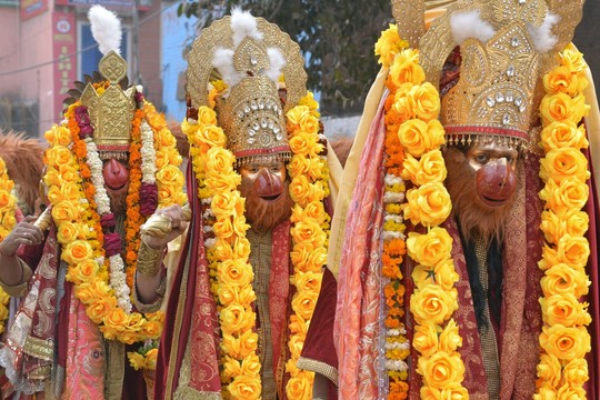 Hinduistų dievas Hanumanas gavo šaukimą į teismą