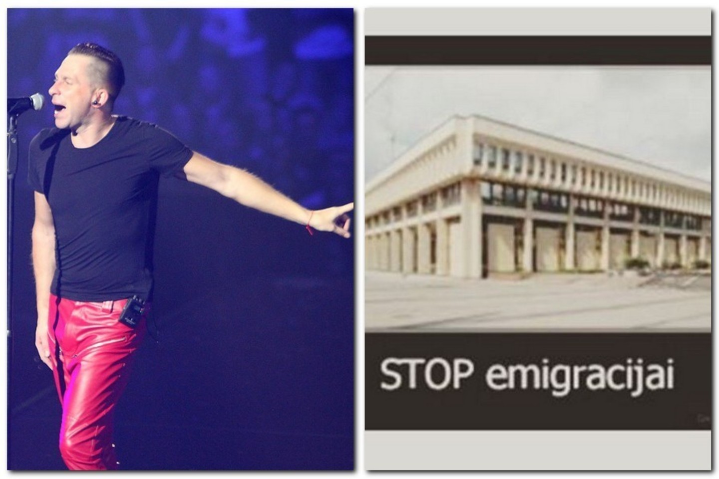 E.Dragūnas susirūpino emigracijos problema Lietuvoje.