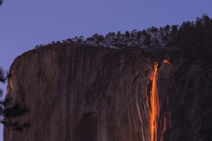 Reginys smalsuoliams atėmė žadą: tai nutinka tik kartą per metus