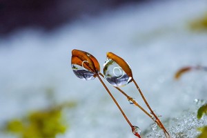 Saulė sklaidys pilkus debesis