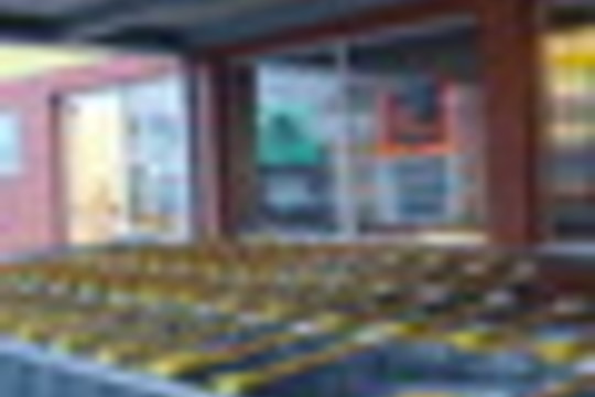 Lietuvių pamėgta „Biedronka“ pirkėjus lepins Azijos gėrybėmis