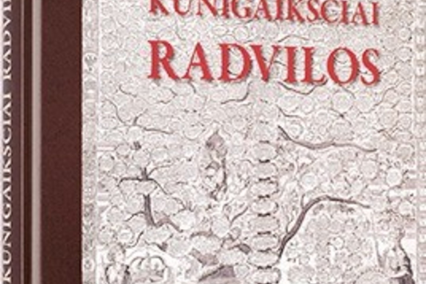 Istoriniame albume pateikiami Vilnius, Lietuvos Brasta, Nesvyžius ir Olyka – ryškūs kultūros židiniai, įžiebti Radvilų giminės, taip pat daugybė kitų miestų, kurie iki šiol mena Radvilų vardą.