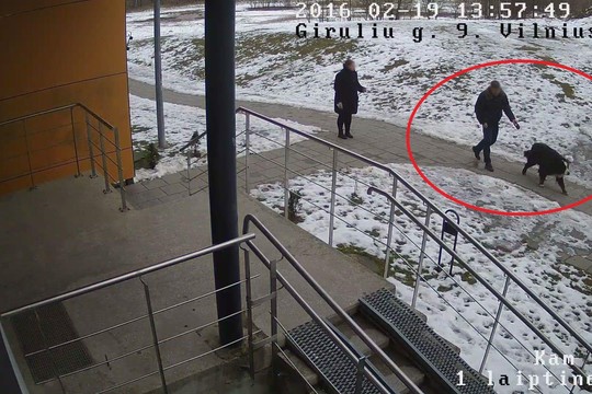 Apsaugos kameros atskleidė, kas pasiėmė dingusį vilnietės šunį