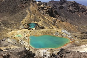 Naujoji Zelandija: peizažai ir laimingi žmonės
