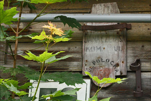 Vilnius, kurio nepastebime: vietovardžiai, atsiradę per klaidą