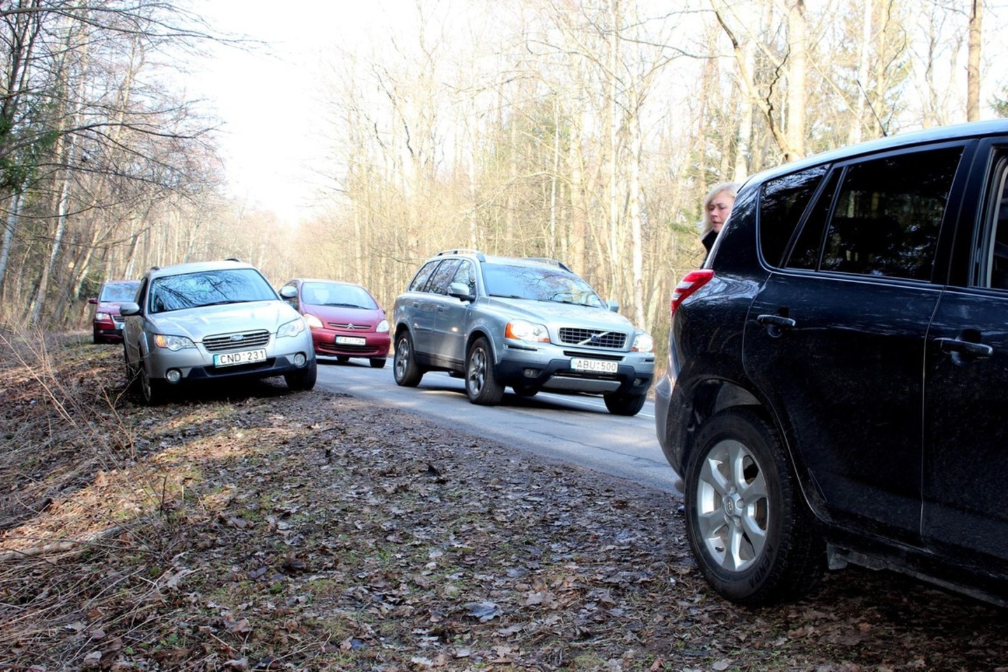 Smalsuoliai šoko iš savo automobilių.<br>G.Pilaičio nuotr.
