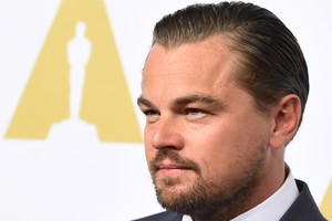 L. DiCaprio talžęs lokys – buvęs amerikietiško futbolo žaidėjas