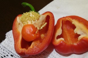 Vilnietę nustebino radinys paprikoje: to suvalgyti ji neišdrįso