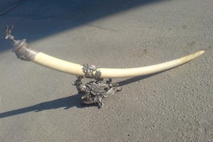 Klaiki realybė: pirkdami egzotišką suvenyrą, nužudote ir dramblį