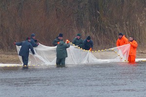 Nemuno žemupyje žvejai jau ręžiasi po tinklų lynais
