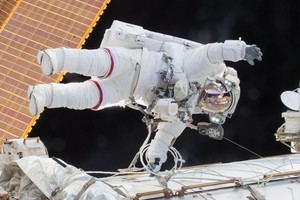 NASA bandomieji dvyniai: kaip kosmosas keičia žmogų