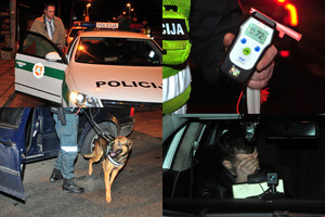 Reidas: beteisiai vairuotojai, BMW avarija ir tarnybinis šuo