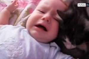 Katė kaip motina guodė kūdikį. Pažiūrėkite, kuo tai baigėsi