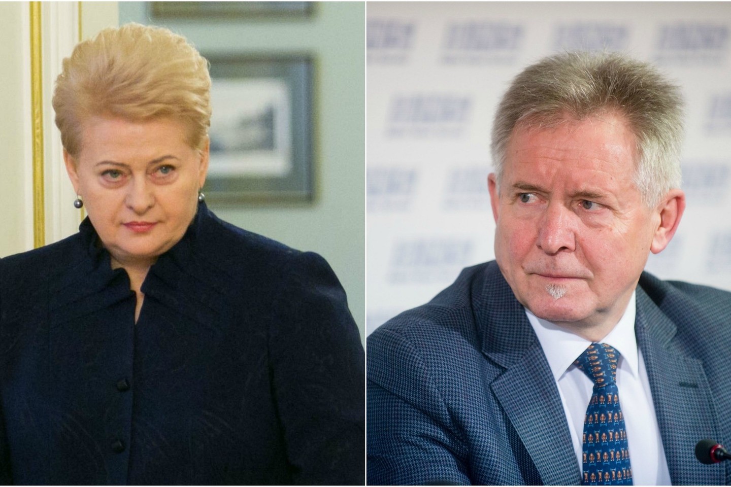 Seimo vicepirmininkas A.Sysas įžvelgia nuolatinį prezidentės priekabiavimą.