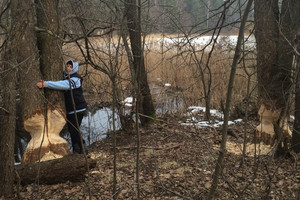 Prie ežero vaikščiojęs vyras tokio vaizdelio pamatyti nesitikėjo