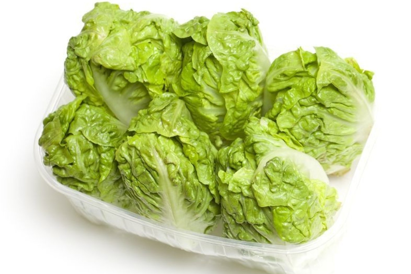 Romaninės salotos.<br>123rf nuotr.