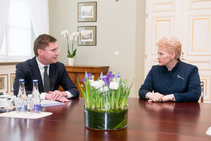 J. Požela po susitikimo su prezidente: „Reikalingi proveržiai“