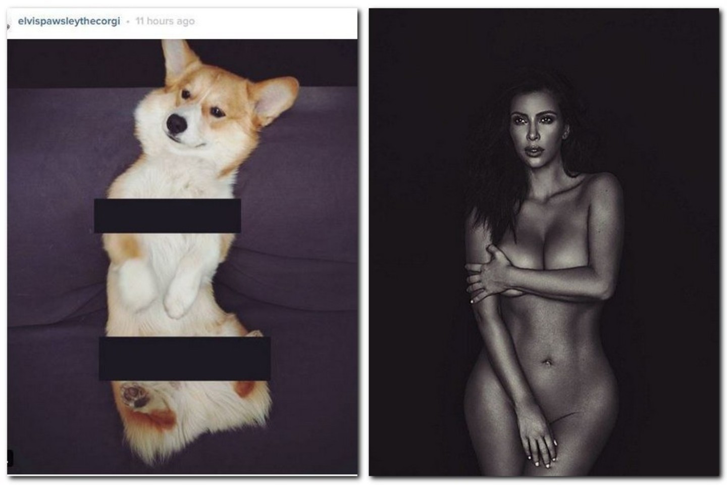K.Kardashian paviešinta asmenukė tapo internetinių memų parodija.<br>Socialinių tinklų nuotr.