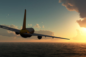 Žmonos paliktas pilotas planavo keršyti sudaužydamas lėktuvą