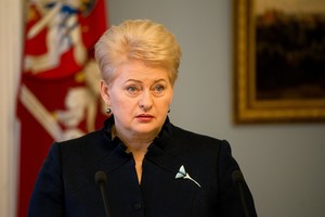 Prezidentė dėl Vijūnėlės skandalo ketina kreiptis į KT