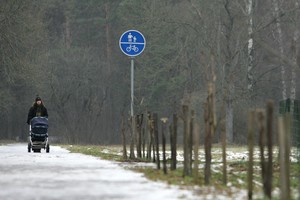Parke vaikštinėjusią porą papiktino šuns šeimininkų įžūlumas