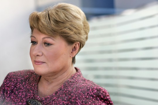 Policijos kaltinimai R.Jokubauskaitei: vairavo girta, siūlė kyšį