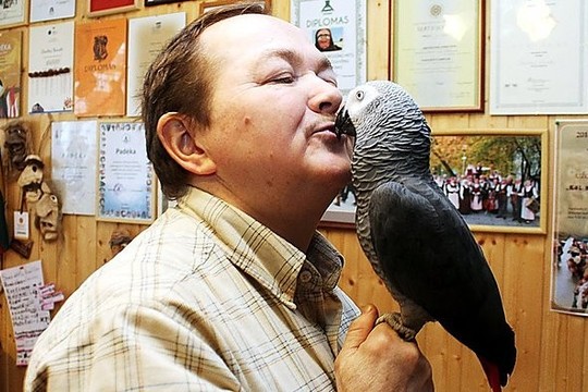 Papūga Albiniukas – patriotinių dainų meistras