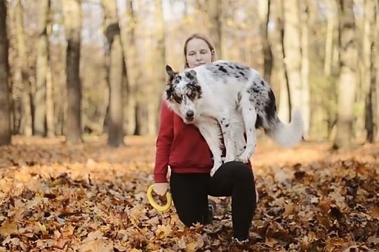 Nepatikėsite, ką išdarinėja šis lietuvės dresuojamas šuo