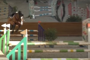 Raitelei neišsilaikius balne žirgo reakcija buvo netikėta