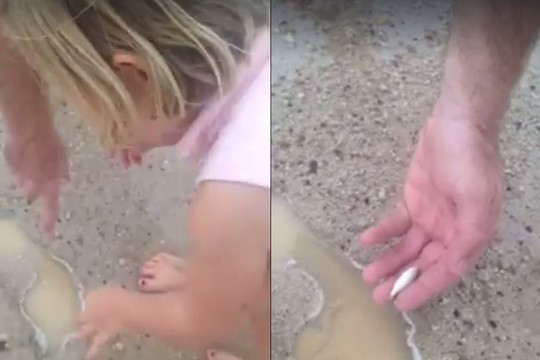 Po liūties moteris nufilmavo neįtikėtiną radinį balose