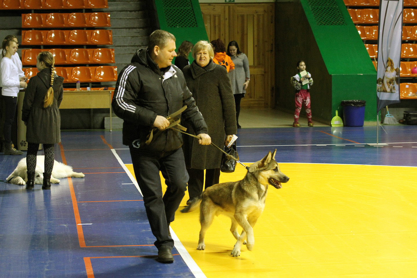 Šeštadienį Kauno sproto halėje gyvūnų prieglauda „Lesė“ surengė šunų parodą.<br>M.Patašiaus nuotr.