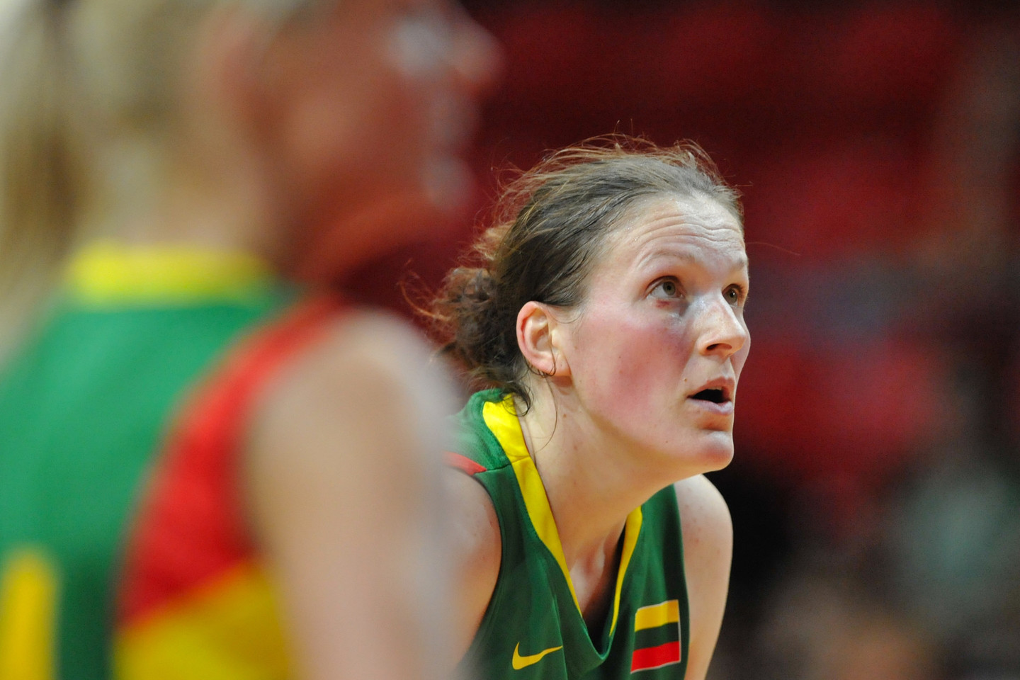 I.Šalkauskė