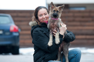 Veislyno „gėda“ tapęs vilnietės šuo neatsigina praeivių dėmesio