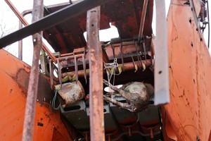 Pakaunės ūkyje – kraupūs vaizdai: paršelis įgrūstas į kombainą