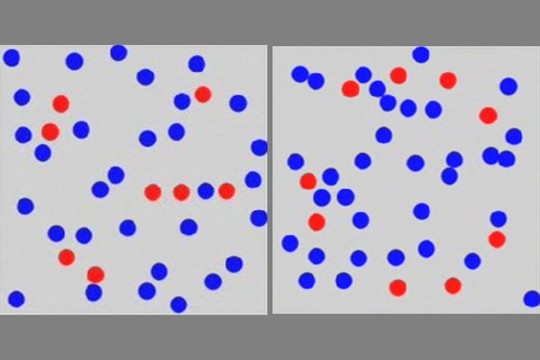 Ar matote paslėptą raidę? Tai sugeba tik 1 proc. žmonių
