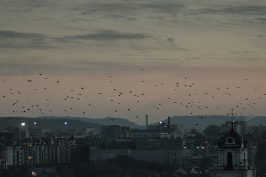 Bergame apdovanota Vilniuje nufilmuota kino juosta