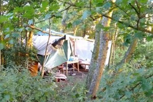 Netekęs darbo lietuvis emigrantas apsigyveno Anglijos miškuose