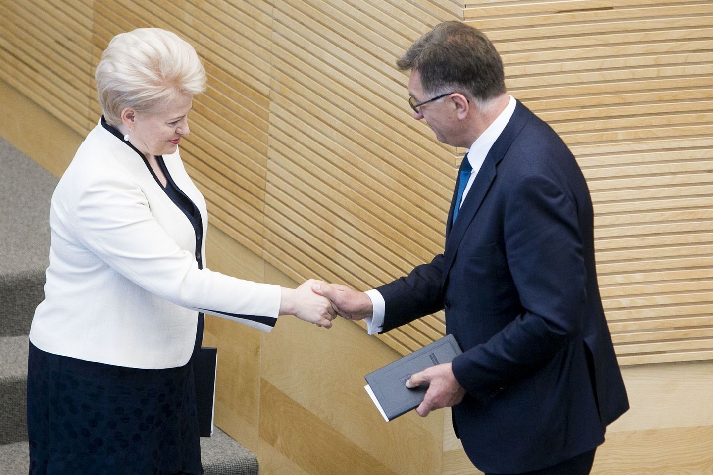 D.Grybauskaitė toliau kritikuoja A.Butkevičiaus vadovaujamą Vyriausybę.