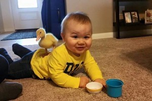 Mažas berniukas susirado idealų išdaigų sąmokslininką