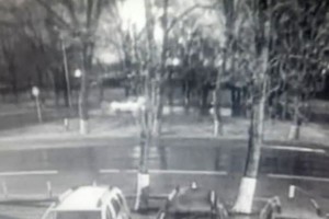 Vaizdo stebėjimo kameros užfiksavo lėktuvo Rusijoje sudužimą